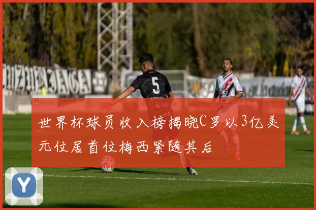 世界杯球员收入榜揭晓C罗以3亿美元位居首位梅西紧随其后