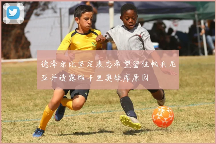 德泽尔比坚定表态希望留住帕利尼亚并透露维卡里奥缺席原因