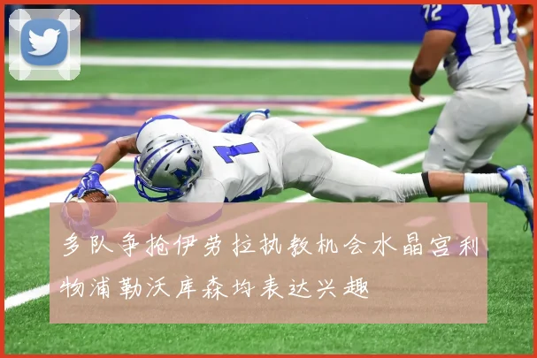 多队争抢伊劳拉执教机会水晶宫利物浦勒沃库森均表达兴趣
